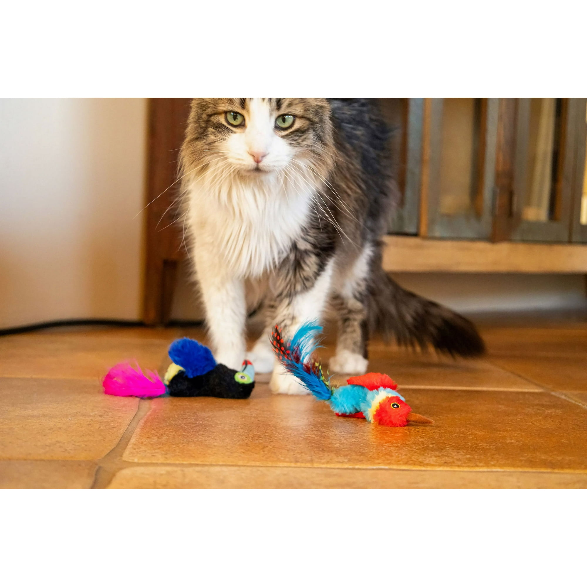 Vibrant Life Catnip Feather Birds Cat Toys, Parrot and Toucan 2 Count