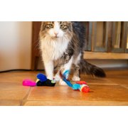 Vibrant Life Catnip Feather Bird Cat Toys, Parrot and Toucan, 2 Count