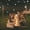 White, variant on Oggfader Solar Lights Outdoor Pathway Solar Energy Remote Control Waterproofing Camping Decoration Outdoor Waterproofing Decorative Light