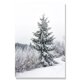 thumbnail image 1 of Carteles de invierno del país de las Maravillas, impresiones de Navidad, abeto, pino, reno, alce, lienzo, pintura, paisaje, pared, arte, imagen, decoración, 1 of 4
