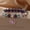 Purple, variant on Natural Amethyst Bracelet Female Fashion Good Luck Comes