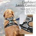 thumbnail image 4 of rabbitgoo Dog Harness  No-Pull Pet Harness with 2 Leash Clips  Adjustable Soft Padded Dog Vest  Reflective No-Choke Pet Oxford Vest with Easy Control Handle for Small Dogs  Beige  XS, 4 of 9