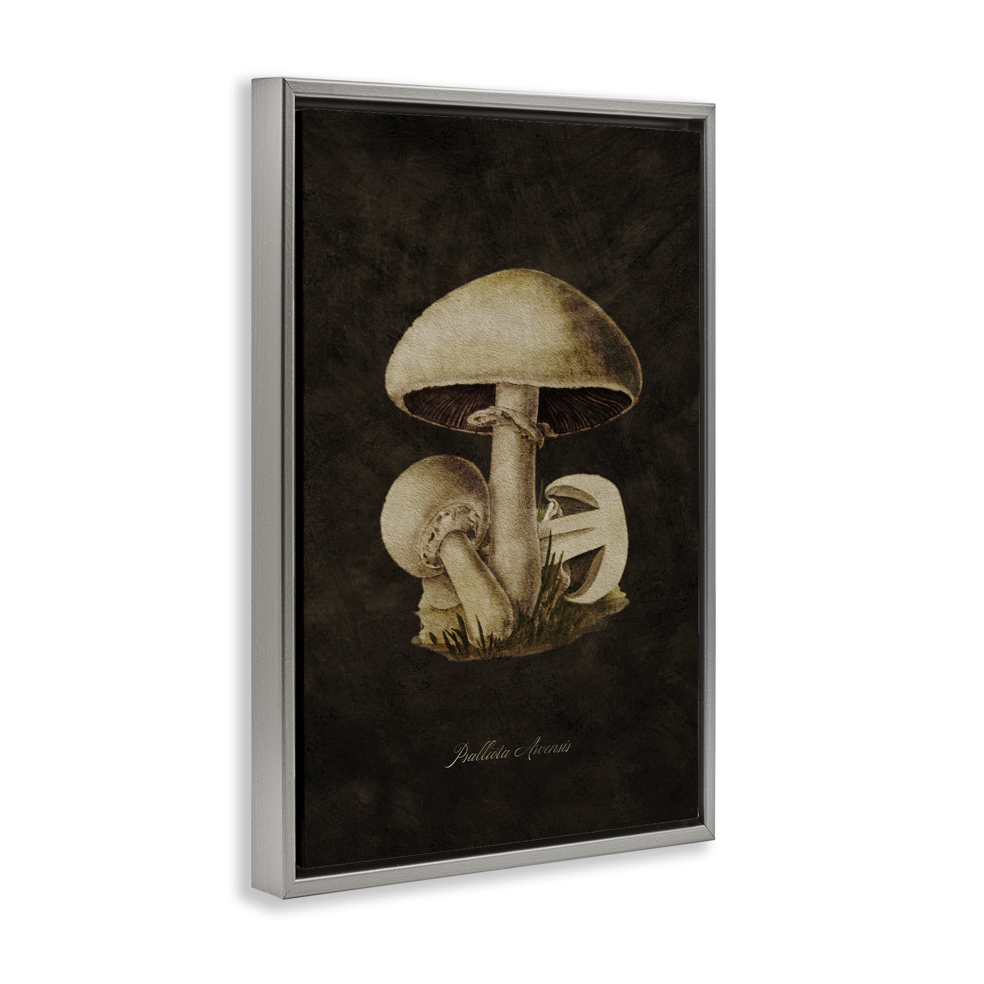 Stupell Industries Portobello Mushroom Study Plants & Flowers Painting Gray Floater Framed Canvas Art Print Wall Art, 17 x 25