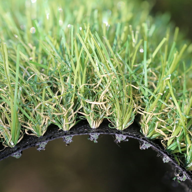 AllGreen Oakley 5 x 8 ft Multi Purpose Artificial Grass Synthetic