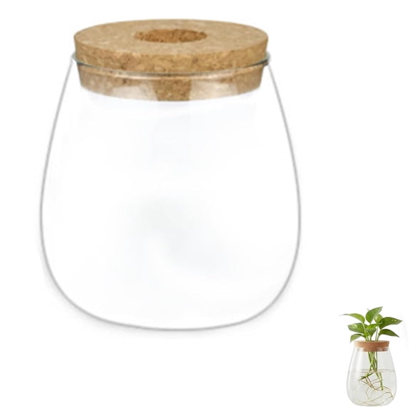 Glass Propagation Vase, Clear, 1 Piece, for Hydroponics Plant Cuttings Home Decor