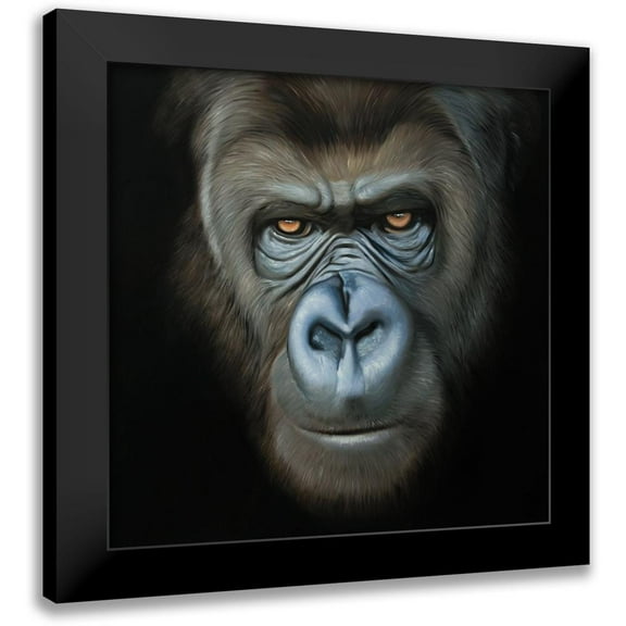 Atelier B Art Studio 12x12 Black Modern Framed Museum Art Print Titled - GORILLA FACE