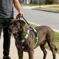 thumbnail image 1 of Fesfesfes Large Dog Leash Set Adjustable Padded Pet with 4.9ft Reflective Leash Comfortable No-Pull Walking Kit for Medium Large Dogs, 1 of 6