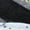 Wolf Grey/Volt-Black-Dark Smoke Grey, variant on Women's Space Hippie 04 Grey Volt Shoes, from StockX