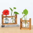 thumbnail image 3 of Matsuzay Marco de para plantas hidropónicas, terrario, jarrón, maceta, Base transparente, de jardín, adornos de negocios individuales Type3 NO3, 3 of 6