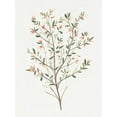 thumbnail image 2 of Warren, Annie 25x32 White Modern Wood Framed Museum Art Print Titled - Single Sprig III, 2 of 4