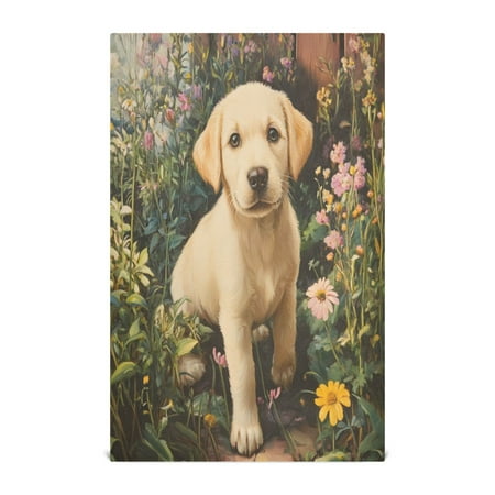 

Kitchen Towel 28x18 Inches x6，Plate Towel Decorative Towel Napkin Tea Towel Tea Towels For Kitchen Dish Cloths & Dish Towels Golden Cute Dog