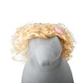thumbnail image 4 of Doggy Parton, Dog Clothes. Curly Dog Wig, Blonde, M/L, 4 of 6
