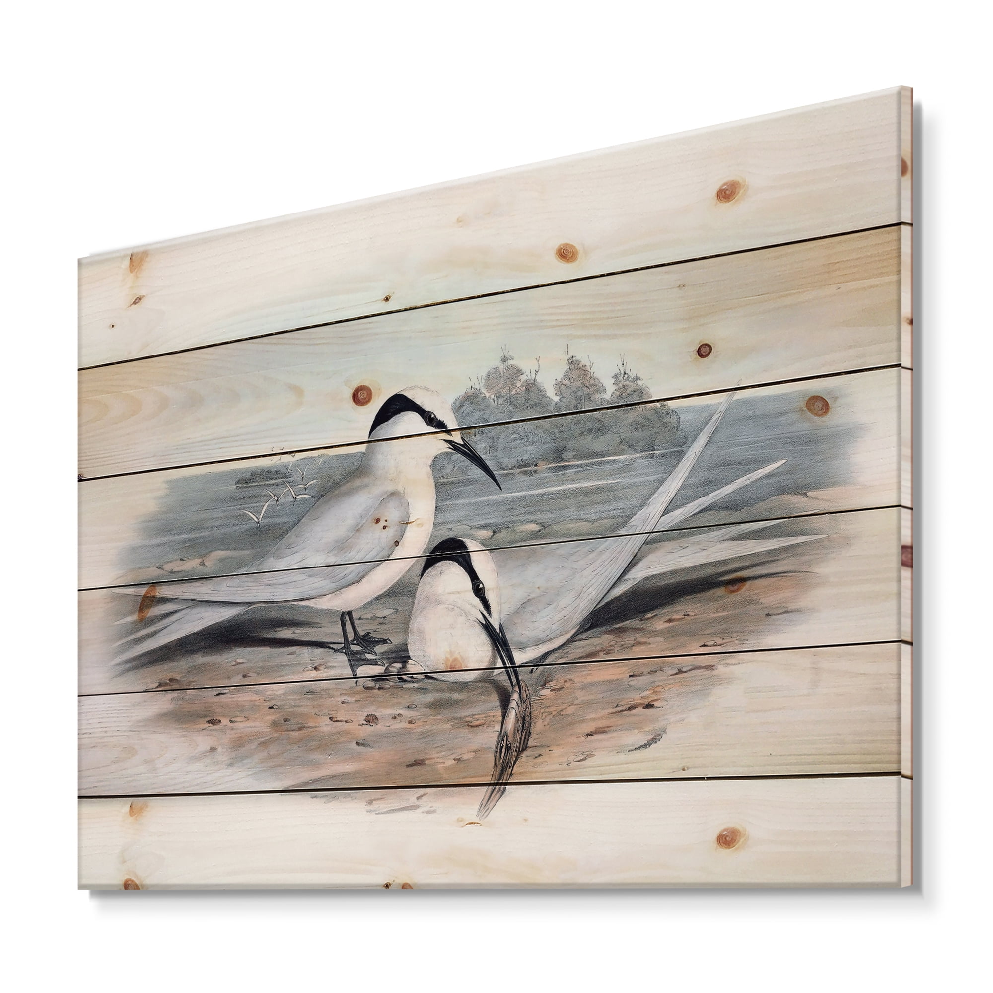 Designart 'Ancient Birds In The Wild IX' Traditional Print on Natural Pine Wood