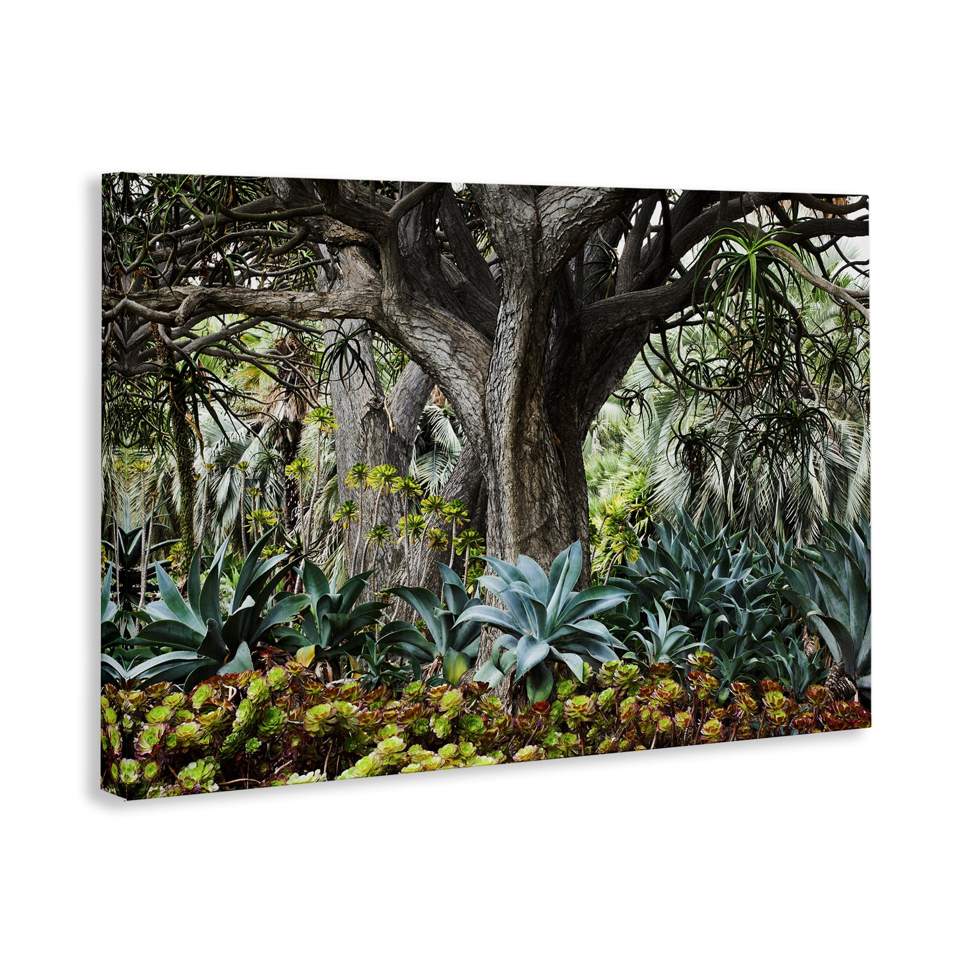 Stupell Industries Lush Tropical Vegetation Landscape & Nature Photography Wrapped Canvas Art Print Wall Art, 45 x 30