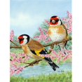 thumbnail image 1 of Carolines Treasures ASA2119GF European Goldfinches Flag Garden Size, 1 of 3