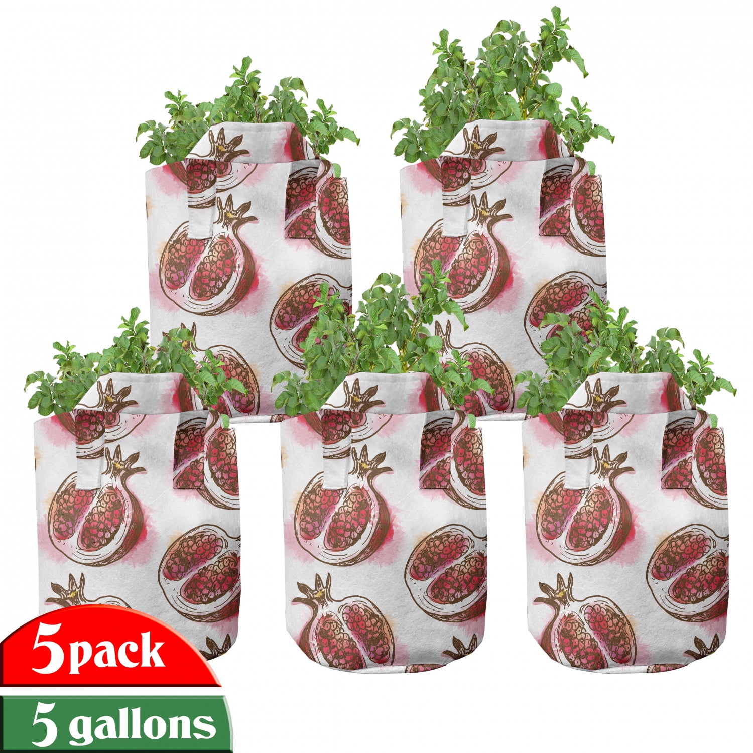 Fruits Grow Bags 5Pack, Flowering Pomegranate, Heavyduty Fabric Pots