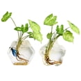 thumbnail image 1 of Coofit 2PCS Glass Vase Creative Wall Mounted Plant Terrarium Flower Vase Flower Pot, 1 of 5