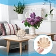thumbnail image 5 of Seashell Display Box Shell Shaped Wooden Shell Display Case with Clear Window Shadow Box with Slot for Seashell Collection Home Decor 7.01x1.26x6.1inch, 5 of 5