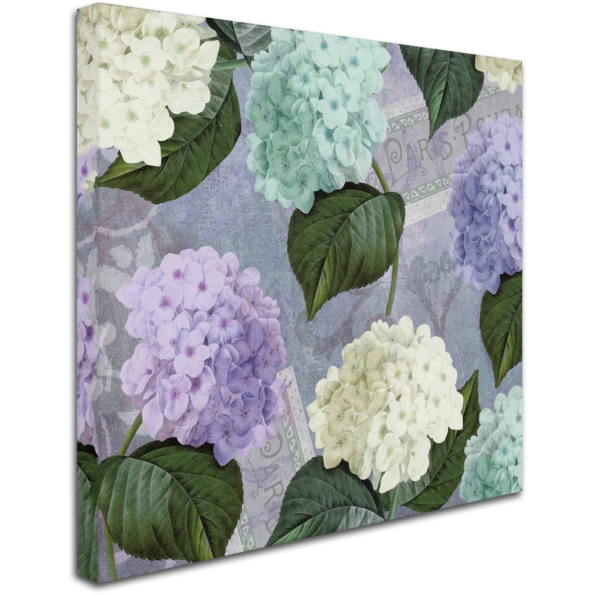Trademark Fine Art "Hortensia Lavenders" Canvas Art by Color Bakery