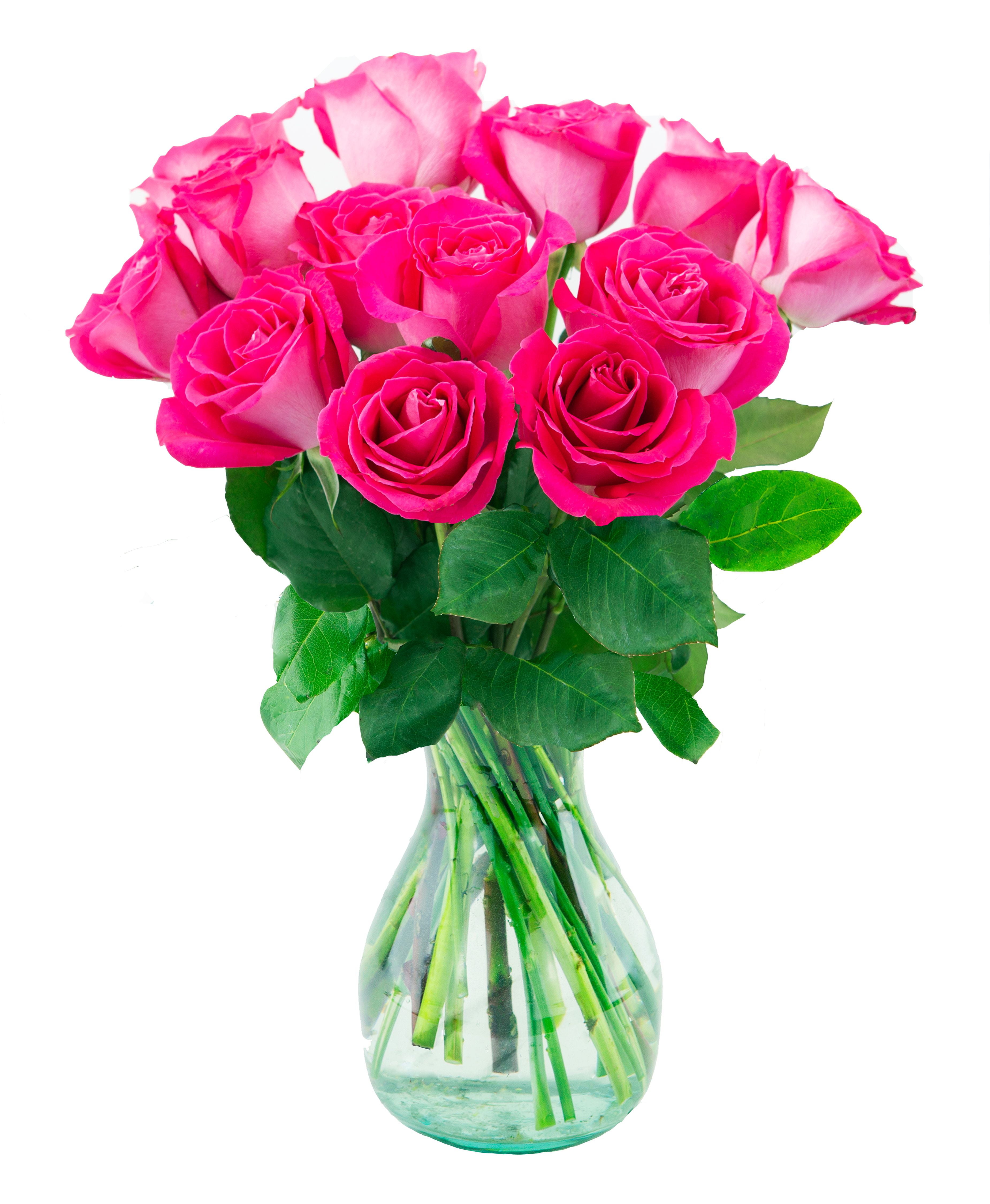 Arabella Bouquets Farm Direct Bouquet of 12 Fresh Cut Hot Pink Roses
