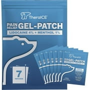 TheraICE Patches, ICY Cold and Hot Patches for Back, Neck, Large