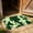 Green, variant on Faux Cowhide Area Rug Western Bathroom Decor Animal Print Floor Mat For Laundry Room Entryway Indoor Black 23.6x15.7 Inch