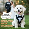 thumbnail image 2 of Esmoquin único para perros de Unique Bargains, traje de esmoquin con corbata de moño, disfraces para perros pequeños, atuendo formal para fiestas, Halloween y Navidad, tamaño XL, negro y blanco, 2 of 7