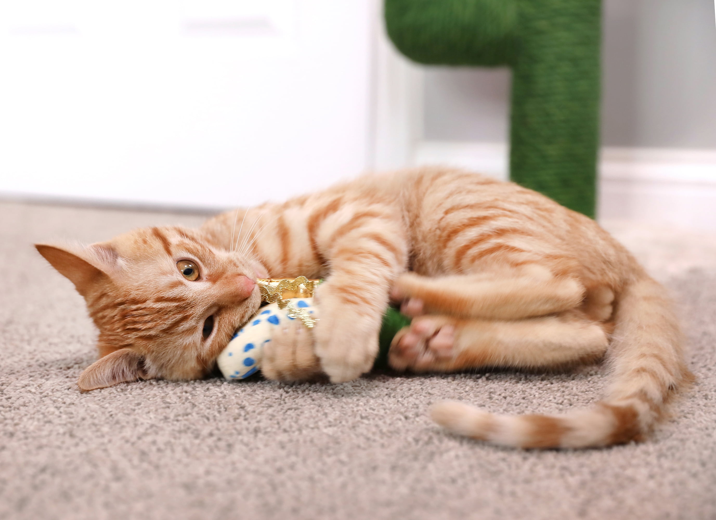 Quirky Kitty Wine & Cheese Plush Catnip 2 pack Cat Toy