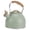 Green, variant on Green 3 Liter Whistling Stovetop Kettle with Wood Pattern Folding Handle