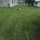 thumbnail image 5 of Correa de cuerda para entrenamiento de perros, cable de control, correa de agilidad para perros, ideal para entrenamiento, 5 of 5
