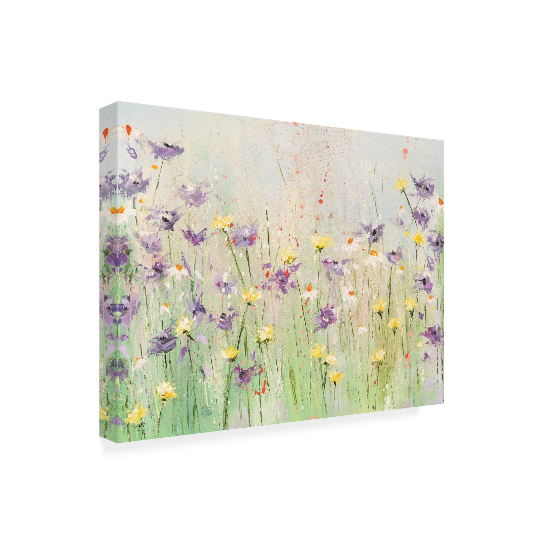 Canvas Wall Art - Emma Coghlan 'Clematis' Wall Art for Living Room, Bedroom, or Office Décor by Trademark Fine Art - 24 x 18 Inches