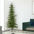 thumbnail image 2 of Vickerman 7' Shawnee Fir Artificial Christmas Tree, Unlit, 2 of 5