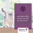 thumbnail image 4 of Tratamiento antipulgas Vectra para gatos y gatitos de 2 a 9 lb, suministro para 6 meses, 4 of 9