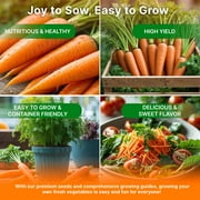Organo Republic Imperator 58 Carrot Seeds – 1,800+ Non-GMO Heirloom Seeds, 2G Packet for Planting Vegetables Indoors & Outdoors, Sweet and Crisp Carrots for Home Garden