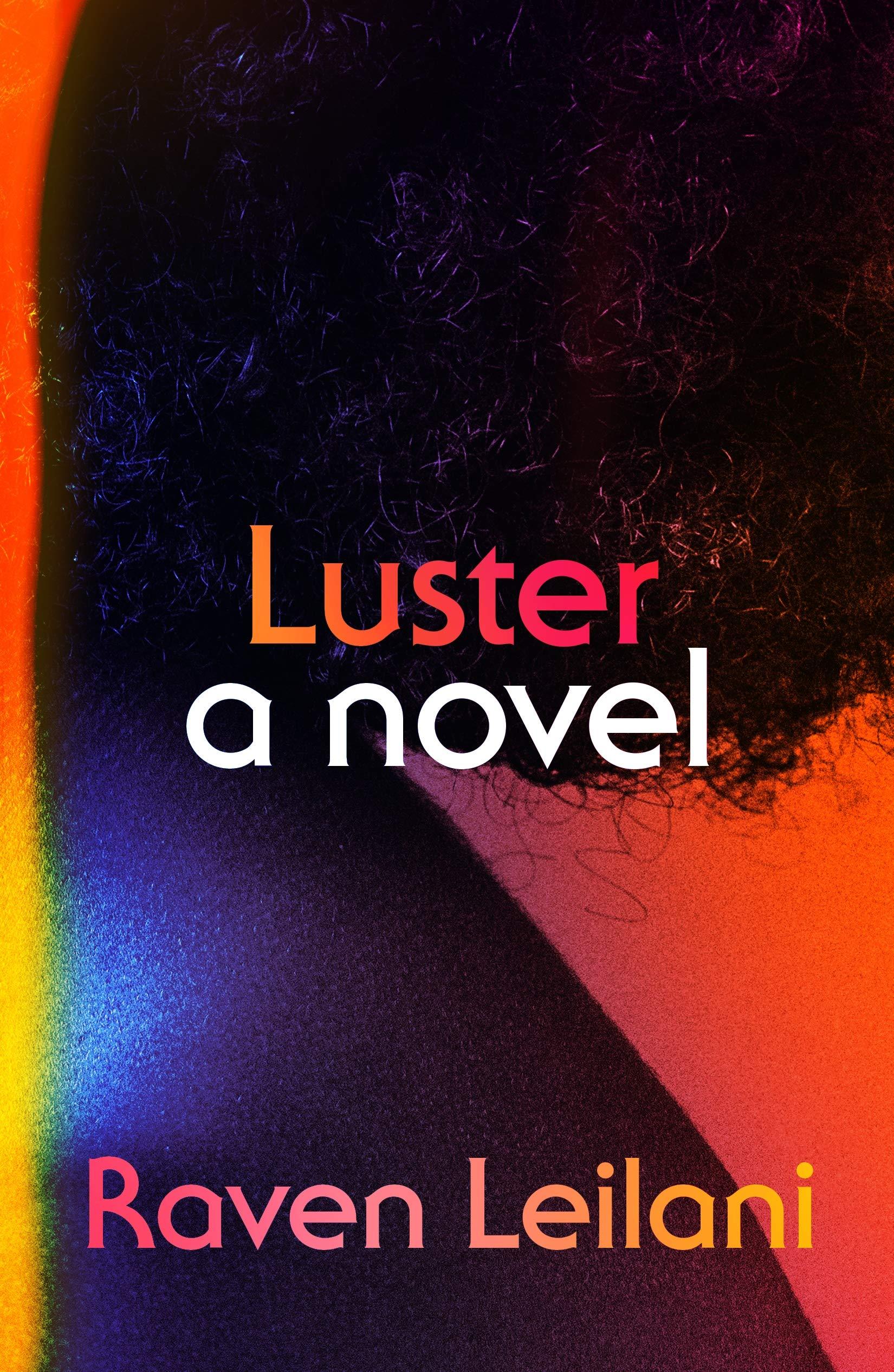 Luster : A Novel (Hardcover) - image 2 of 3