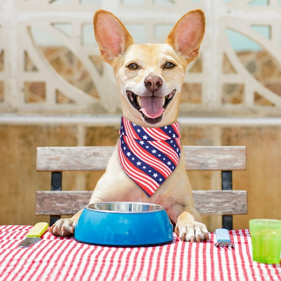 FAMTKT Dog Cat Printing Pet Saliva Towel Tie Personality Dog Bandana Bib Adjustable