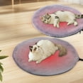 thumbnail image 1 of Savings Oefntac Heating Pad Pet Heating Pad Adjustables Temperature Dog and Heating Pad Indoor Pet Heating Pad with Wires Dog and Heating Pad, 1 of 9