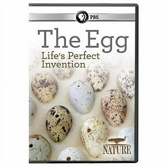 Nature: The Egg: Life's Perfect Invention (DVD), PBS (Direct), Documentary