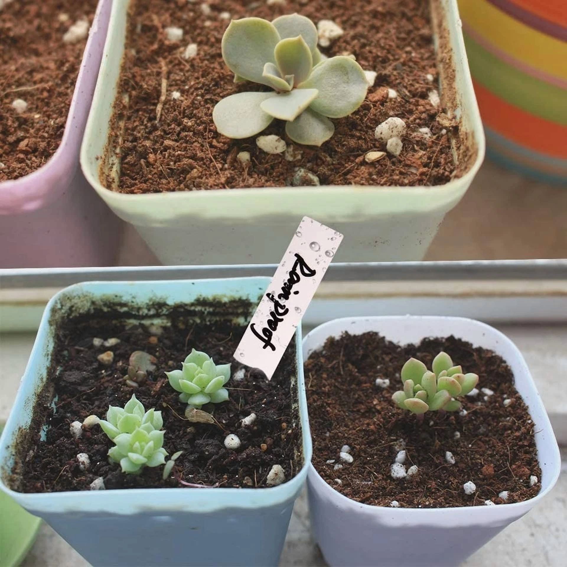 PURELY- Plastic Plant Tags Nursery Garden Labels Waterproof Name Tags 100Pcs