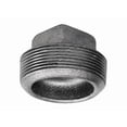 thumbnail image 1 of Plancha maleable negra Plug Anvil MPT de 1 pulgada, 1 of 2