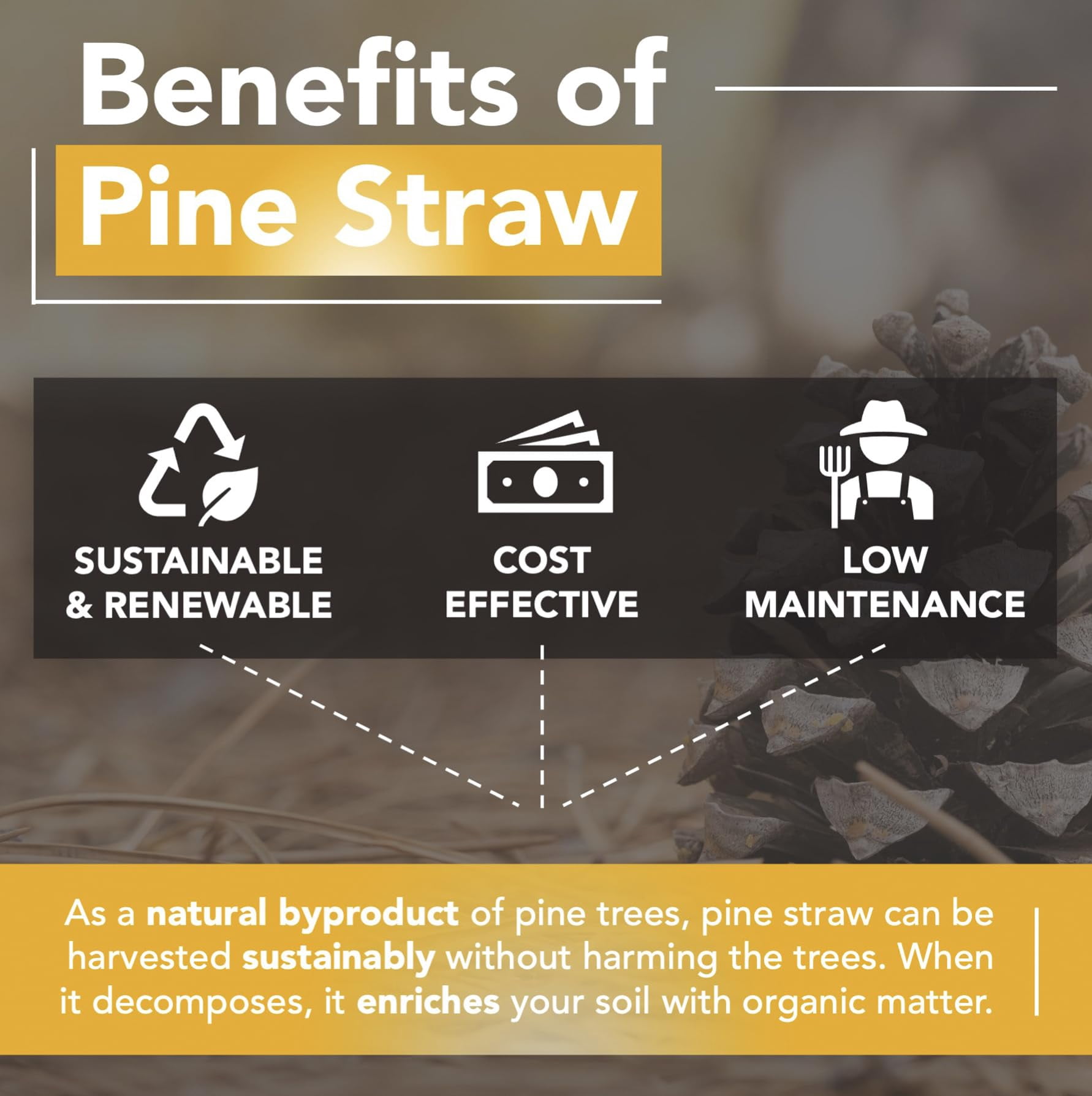 Home and Country USA Premium 4 Pound Pine Straw Mulch for Landscaping, Organic Material Made from Authentic Pine Needles Ideal for Gardening, Soil Moisture Retention.