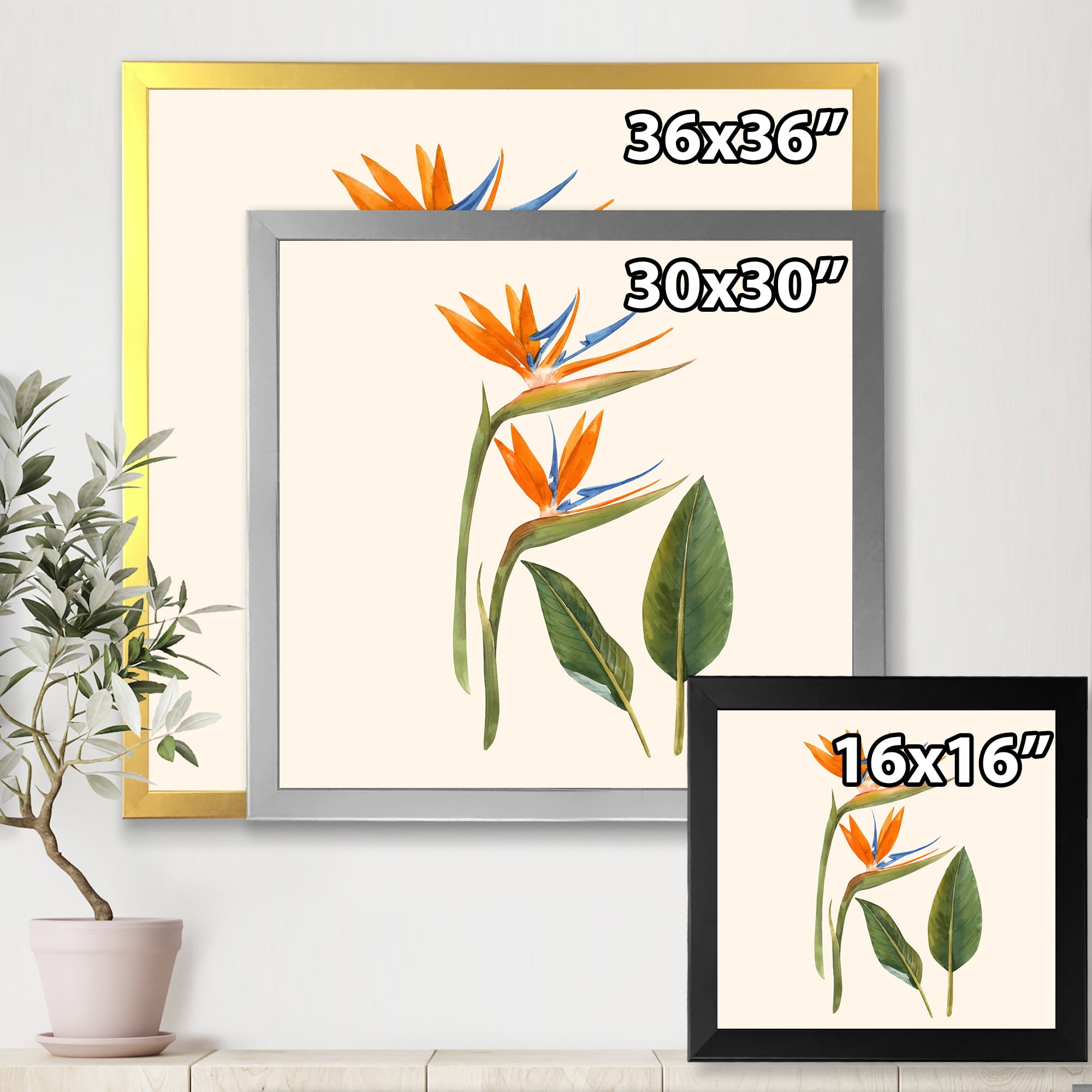 Designart 'Ancient Strelitzia Flowers' Traditional Framed Art Print