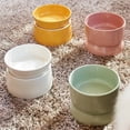 thumbnail image 3 of AndMakers MNL-ML-MT Premium Macaron Cat Bowls, Mint - Medium & Large, 3 of 8
