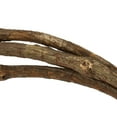 thumbnail image 4 of Vickerman 95-100" Natural Tranca Vine Coil, 1 coil, Dried, 4 of 4
