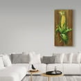 thumbnail image 3 of Trademark Fine Art 'Ear Of Corn' Canvas Art by Gigi Begin, 3 of 3