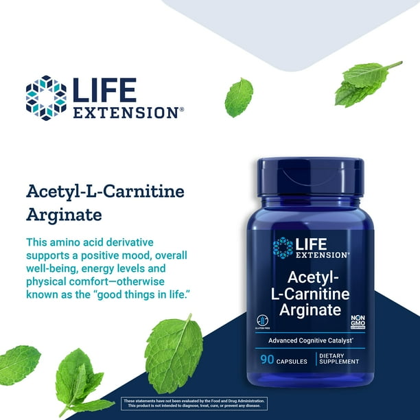 acetil l carnitina arginate beneficios Suplemento de arginato de aceti-L-carnitina Life Extension ALCAR HCl está meticulosamente DSIP 6mg | High qu Qty:120