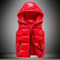 thumbnail image 1 of Chaleco de algodón con cuello alto y cara brillante para padres e hijos de otoño e invierno, chaleco de algodón ajustado con capucha y acolchado de marca de moda para hombres, para parejas, 1 of 5