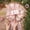 Rose Gold, variant on Elegant Pink Christmas Tree Topper – Glitter Satin Star with Flowing Mesh Streamers, Festive Holiday Decor