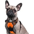 thumbnail image 1 of Dog Harness Harness for Small and Medium Dogs Anti Pull Chest Harness No Pull Safety Harness Auto Dog Harness Labrador Puppy Harness Jogging Escape Proof Soft Padded (Qrange,S), 1 of 6