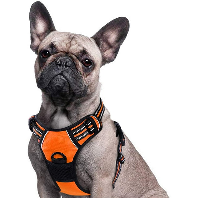 Dog Harness Harness for Small and Medium Dogs Anti Pull Chest Harness No Pull Safety Harness Auto Dog Harness Labrador Puppy Harness Jogging Escape Proof Soft Padded (Qrange,S)